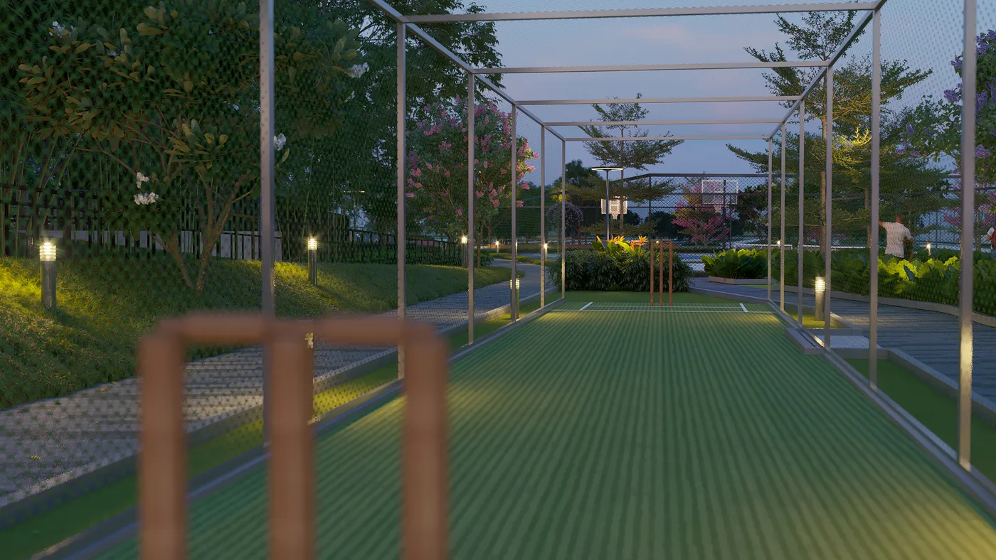 Cricket Practice Pitch